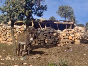 Un moyen de transport non révolu