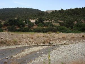 oued yabous bordé d'arbres et de montagnes