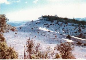منظر من جبل شلية في فصل الشتاء