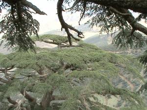 شلية مكان سياحي لا مثيل له...يابوس