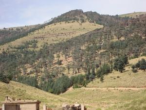 شلية مكان سياحي لا مثيل له...يابوس