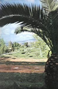 Le site de Tlemcen a un cachet particulier