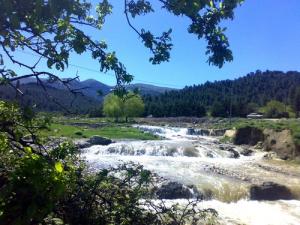 سحر الطبيعة  وجمالها تجدها تجده في يابوس و شلية.