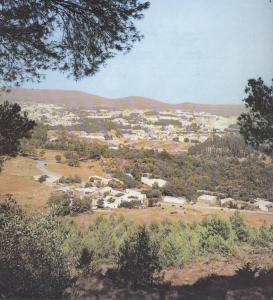 C'est en Avril que la campagne tlemcenienne exerce le charme le plus puissant sur ses visiteurs