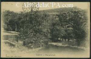 la palmeraies de Tiout