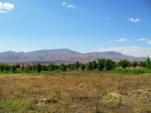 les jardins de Tiout