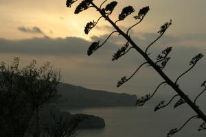 La plage de Sidna Youchaa