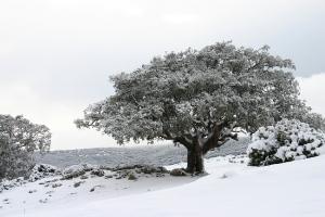 Sebdou éclatante de blancheur ...