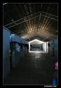 Centre équestre de Mansourah