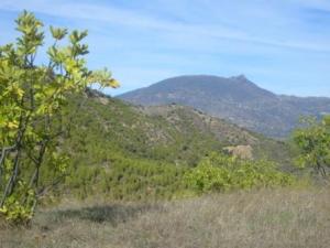 Paysage naturel de Lemroudj 20.10.2010