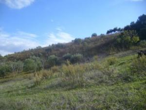 Paysage naturel de Lemroudj