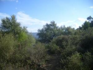 Paysage naturel de Lemroudj