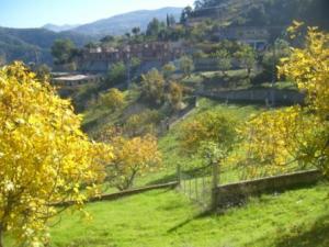 Paysage naturel de Lemroudj, automne 2010