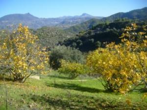 Paysage naturel de Lemroudj, automne 2010