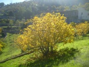 Paysage naturel de Lemroudj, Automne 2010