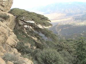 tafrent commune taouzient