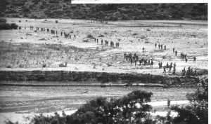 عملية النبش بخنشلة 3ايام و 3 ليال من الاشتباكات بي سي بي 30 و ار تي ا7