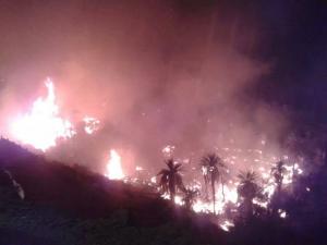 La protection civile et les habitants de Beni Abbès se sont battus pour sauver leur palmeraie