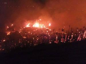 Un incendie détruit 1500 arbres de la palmeraie de Béni-Abbès (Béchar)