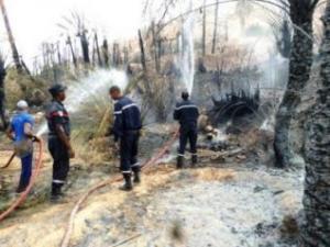 Béchar -  Un incendie détruit 1.500 palmiers à Béni-Abbès