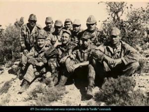 En plein Djebel de Chélia YABOUS BOUHMAMA KHENCHELA