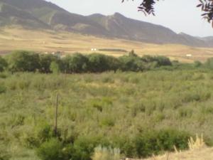 Verger du nommé Boudraa el hadj ferhat ben ammar Tighaza Yabous Khenchela