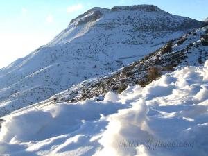 LE MONT CHELIA EN PLEIN HIVER LA NEIGE COUVRE TOUT YABOUS KHENCHELA