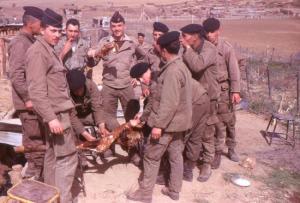 UNE CURE DE MECHOUI AIN MIMOUN TAMZA 1