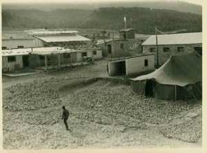 بيرنار كرون 1ا /09/61 خنشلة