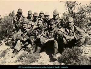 جبل شلية بيابوس بوحمامة خنشلة