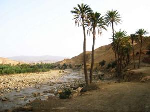 Une oasis à El-Ouldja Khenchela très jolie à visiter