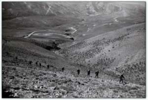 ارسيبي 9 بجبل شلية يابوس بوحمامة خنشلة