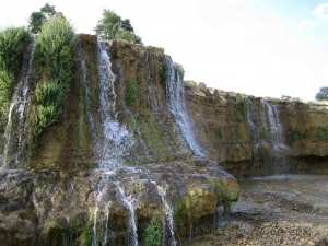 عزة مسارة بوحمامة خنشلة