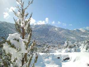 جبل شلية المغطى بالثلوج في شهر يناير 2014