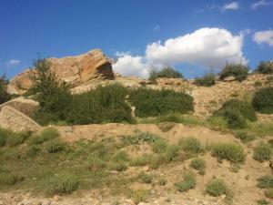 تاغوست يابوس