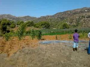 SIDI AMAR OUKNIAA  OULED AISSA  ZATIMA