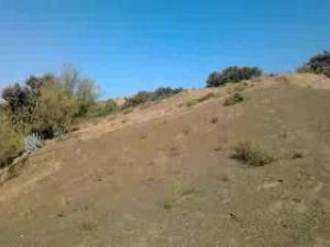 LE CIMETIÈRE OU EST ENTERRE  MON PÈRE