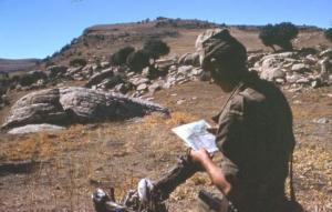 Le point sur la carte en opération Chélia Taouzient