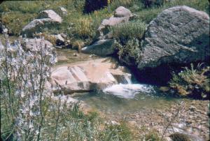 bouhmama Gergovie 0069