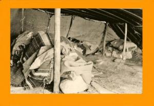 Gourbi Chaouia région de Khenchela 1954/1962