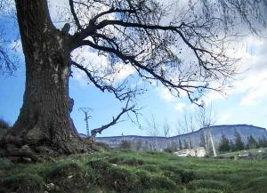 Hammam Essalihine El hamma Khenchela