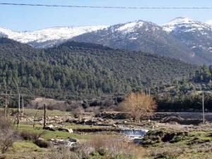 Boulazazen Yabous Chélia