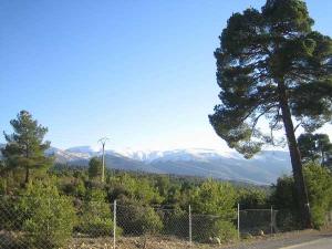 Ain Mimoun Khenchela