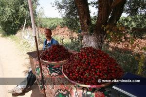Cerisiers au Plateau de Lalla Setti, une année généreuse en cerises