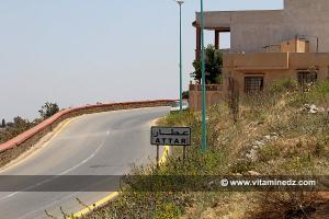 El Attar village des Cerisiers au Plateau de Lalla Setti, une année généreuse en cerises