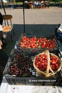 Fete de la Cerise  Cerisiers au Plateau de Lalla Setti, une année généreuse en cerises