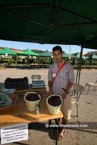 Fete de la cerise  Producteur d\'ain Gossea commune de Mansourah