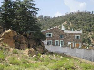 HOTEL DE CHELIA BOUHMAMA