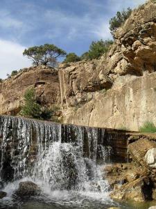 THIGHAZA M'SARA   KHENCHELA