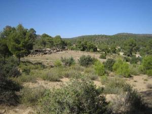 Theghazza Efarrage   M'SARA